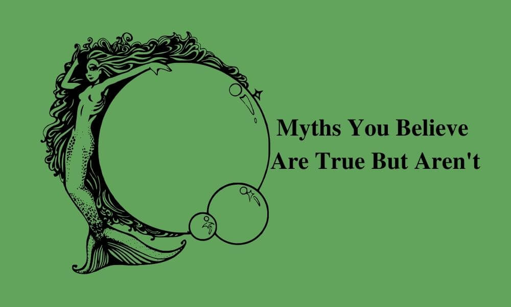 The 10 Trading Myths You Believe Are True But Aren't